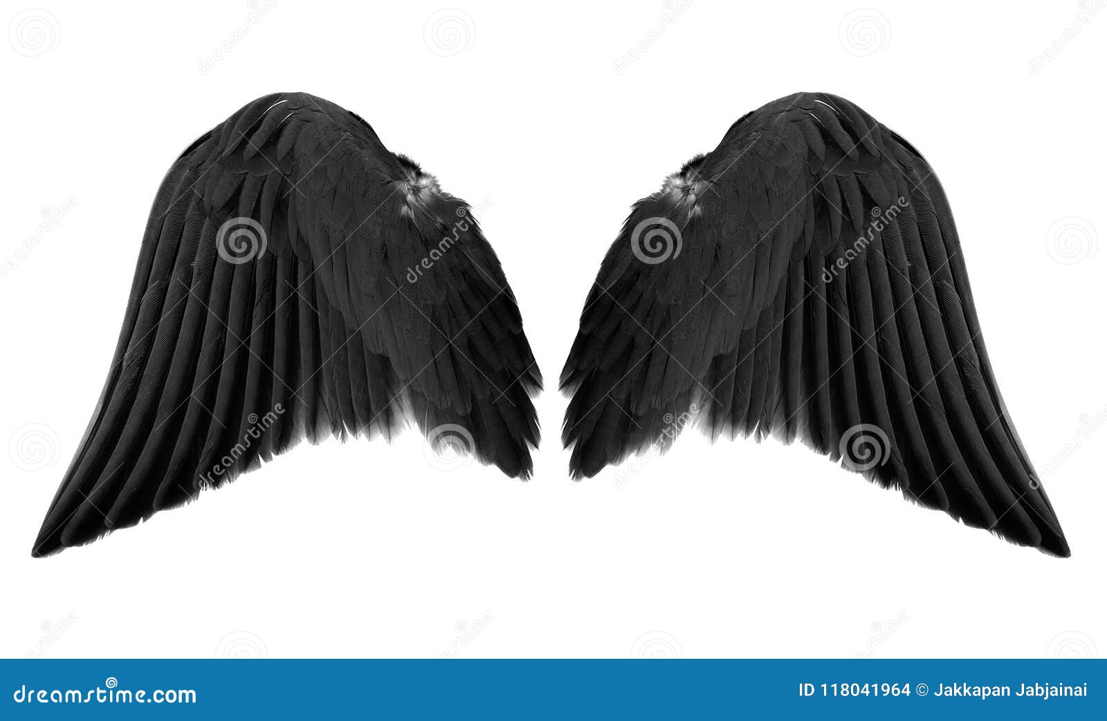 Schwarze Engelsflügel stockbild. Bild von vogel, flug - 115979465