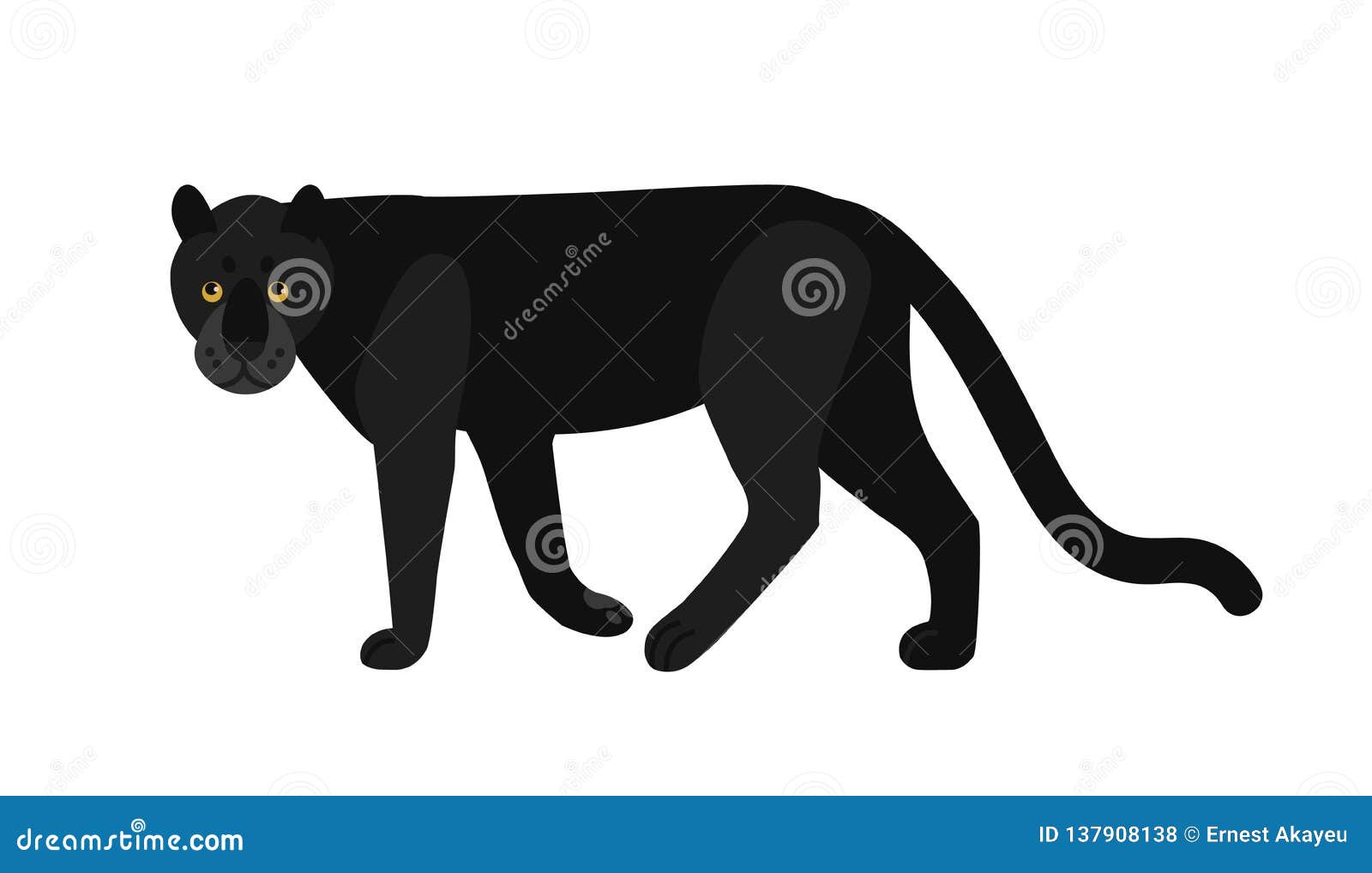 Schwarzer Panther Lokalisiert Auf Weissem Hintergrund Wildes Exotisches Fleisch Fressendes Tier Der Betaubung Wurdevolle Grosse Wil Vektor Abbildung Illustration Von Dekoration Schon 137908138