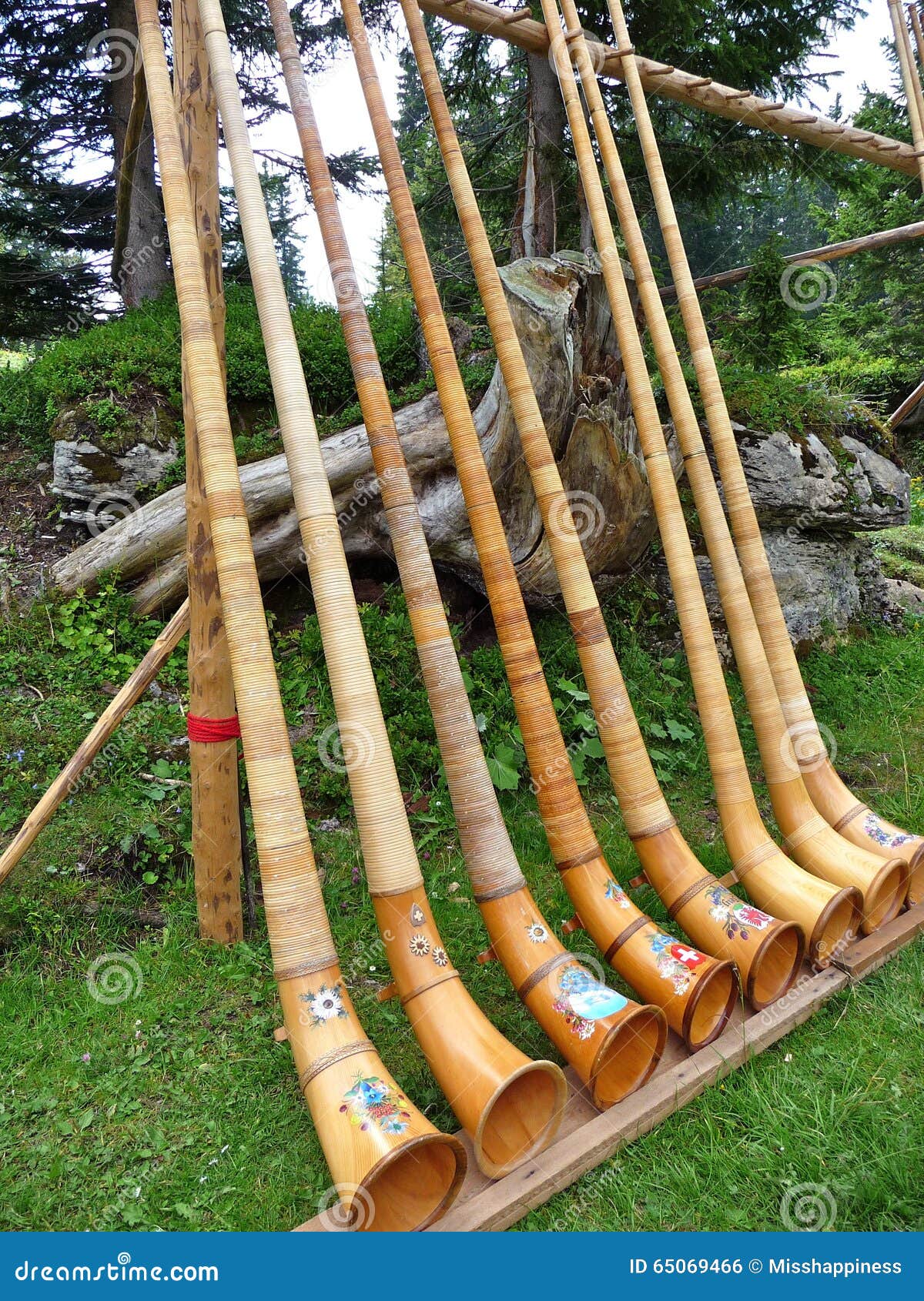 Schweizer AlpenhornInstrumente in Folge Stockfoto Bild von reihe