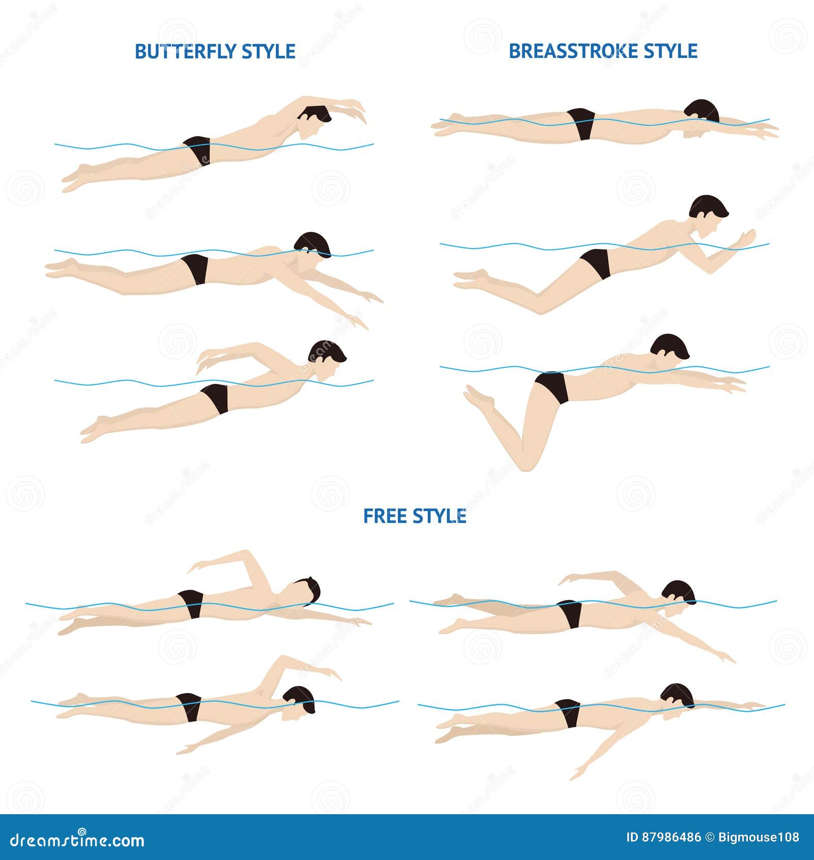 Schwimmen Brustschwimmen Schmetterling Und Freistil Vektor Vektor Abbildung Illustration Von Brustschwimmen Vektor
