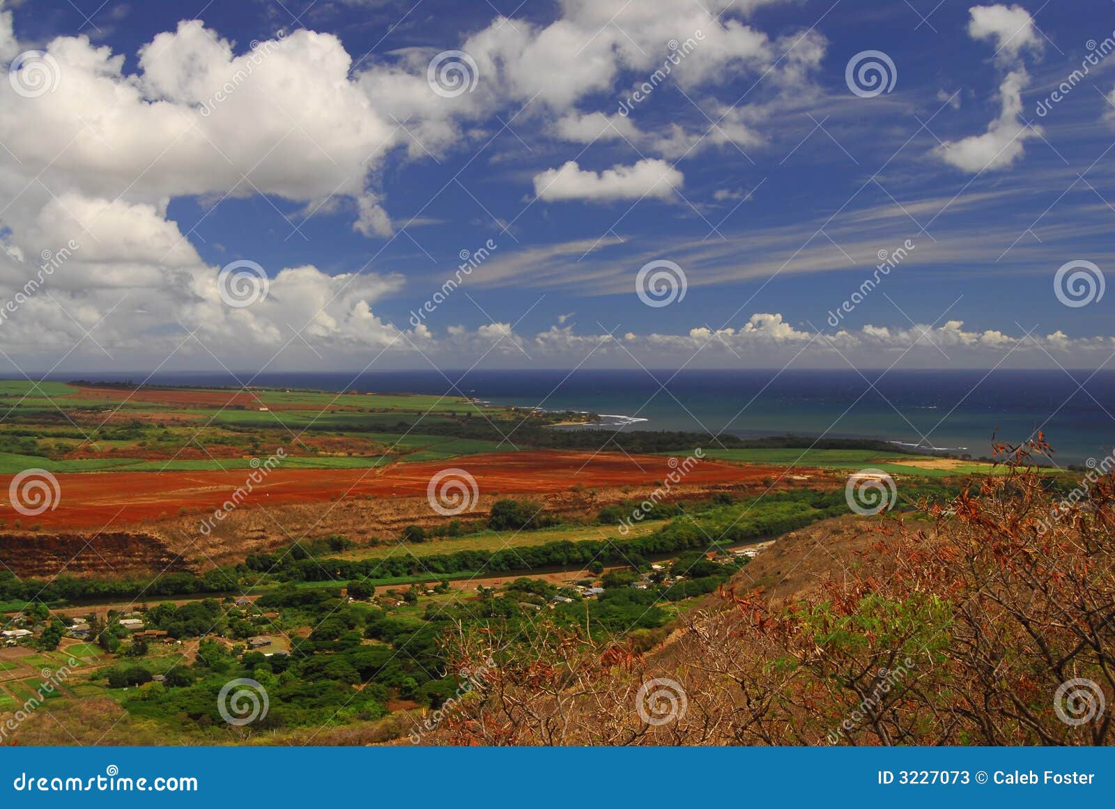 Schöne Ansicht in Hawaii. Szenische Ansicht eines schönen Tales in Kauai, Hawaii