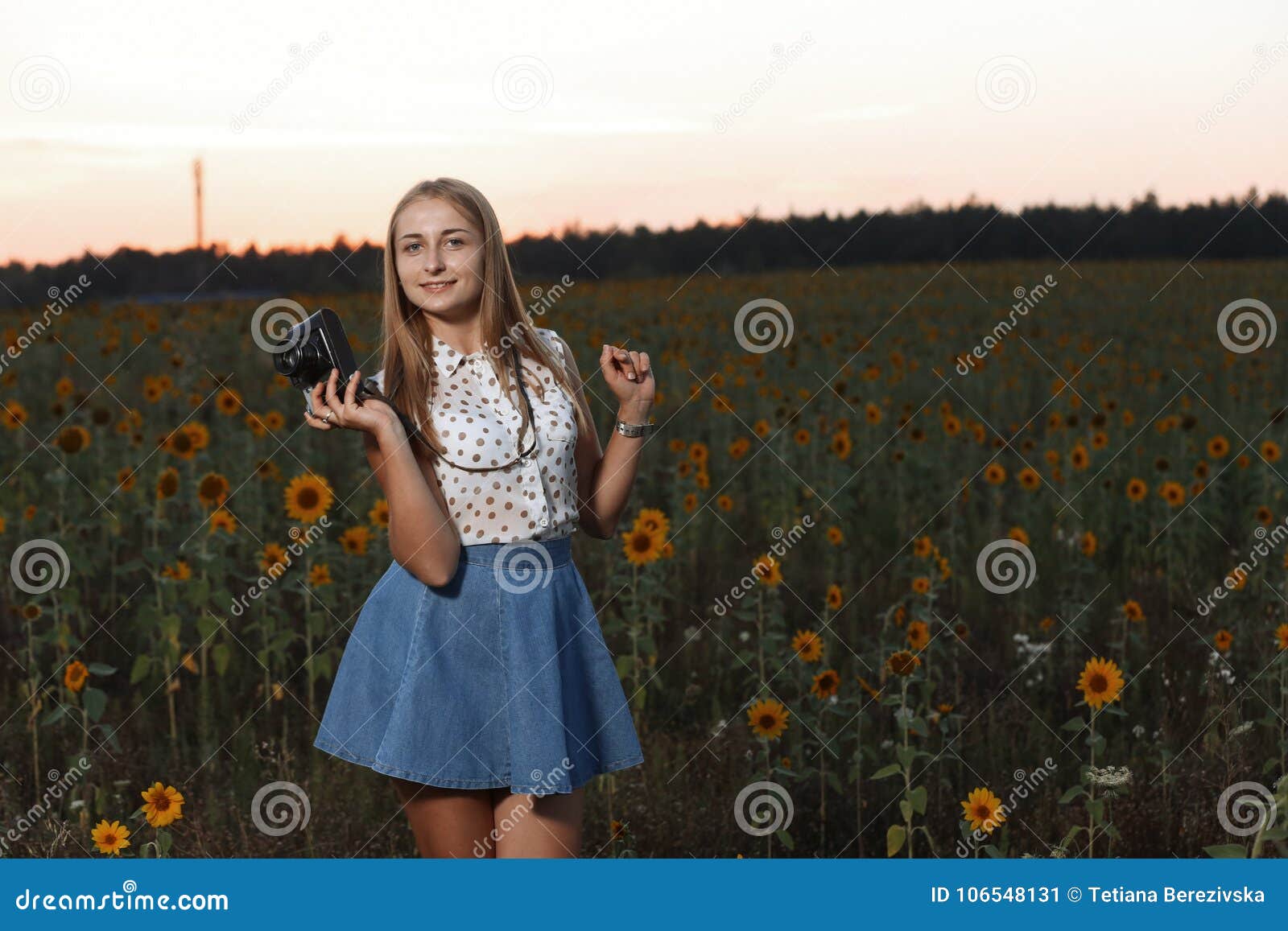 Schöner Fotograf des jungen Mädchens mit Fotokamera auf Natur Feld von Sonnenblumen bei Sonnenuntergang