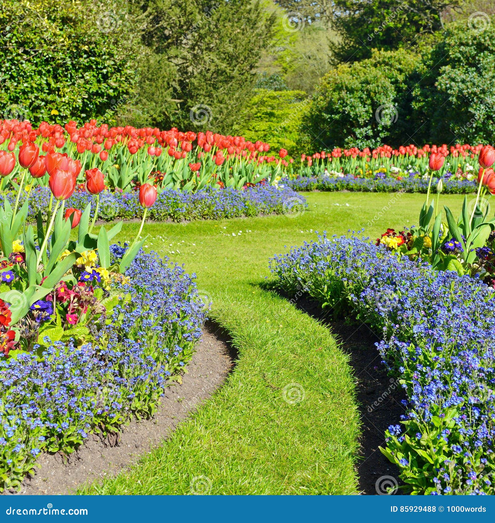 Schöner Garten stockfoto. Bild von haupt, landschaftsgestaltung 85929488