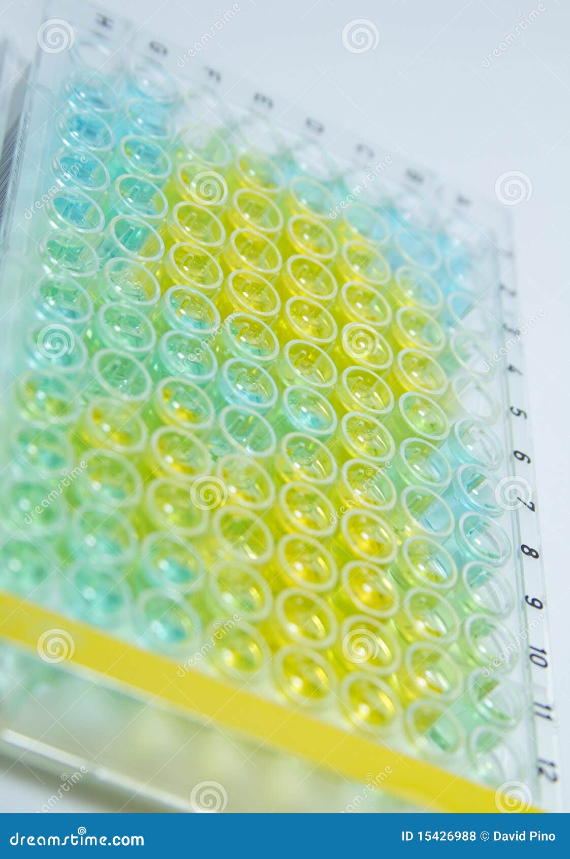 Science assay 96 wells stock photo. Image of assay, research 15426988