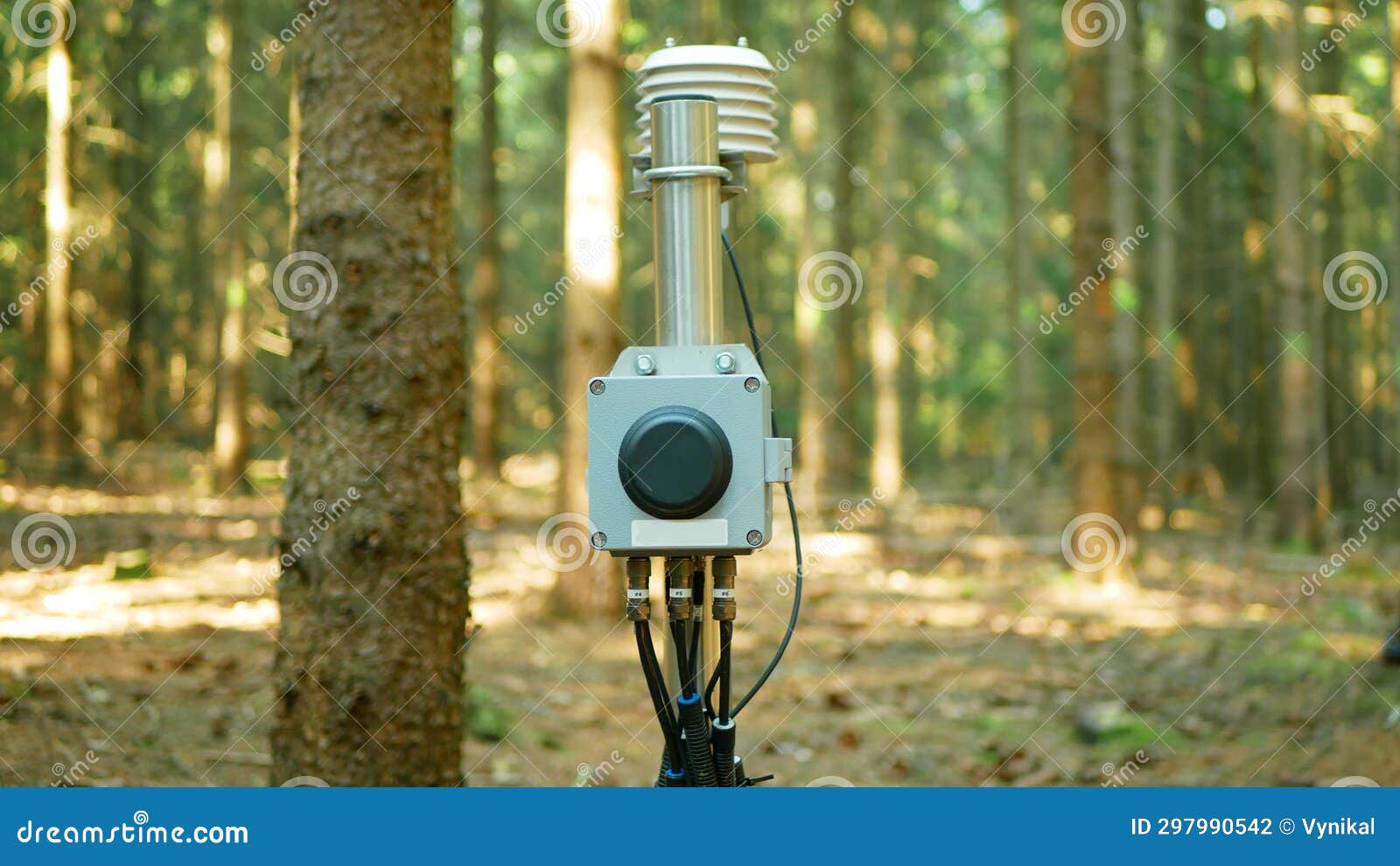 science dendrometer technology trunk fire forest risk scientific measurement early warning systems, monitoring forecast