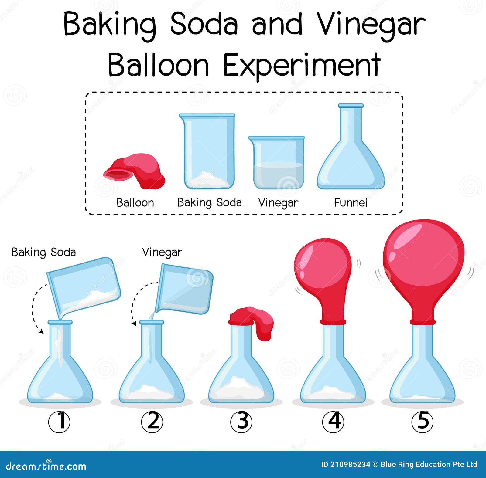 Science Experiment With Baking Soda And Vinegar Balloon Stock Vector Illustration Of Blank Object
