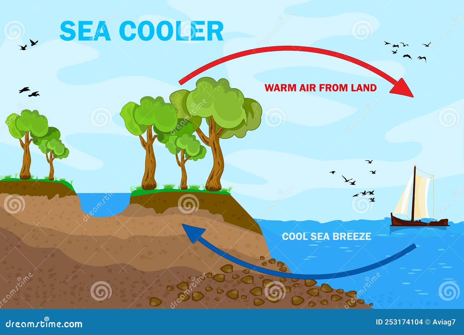 Diagram showing sea breeze with ocean and land Vector Image