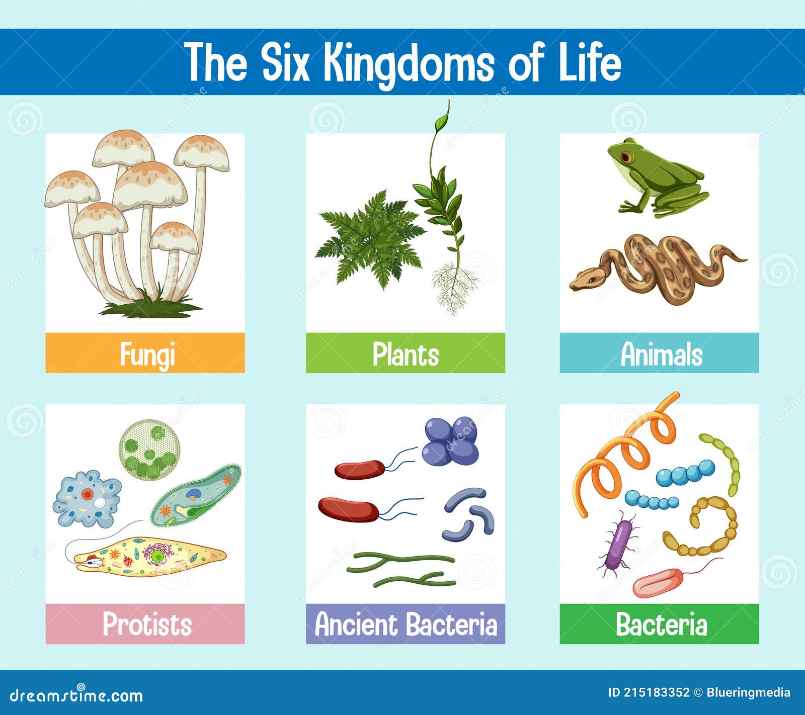 science-poster-of-six-kingdoms-of-life-stock-vector-illustration-of