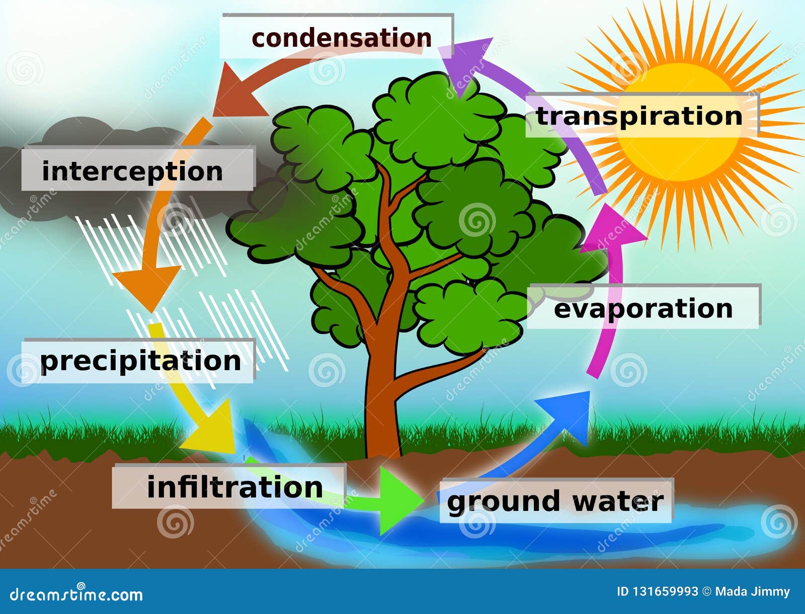 Water Cycle Concept Illustration Stock Illustration - Illustration of