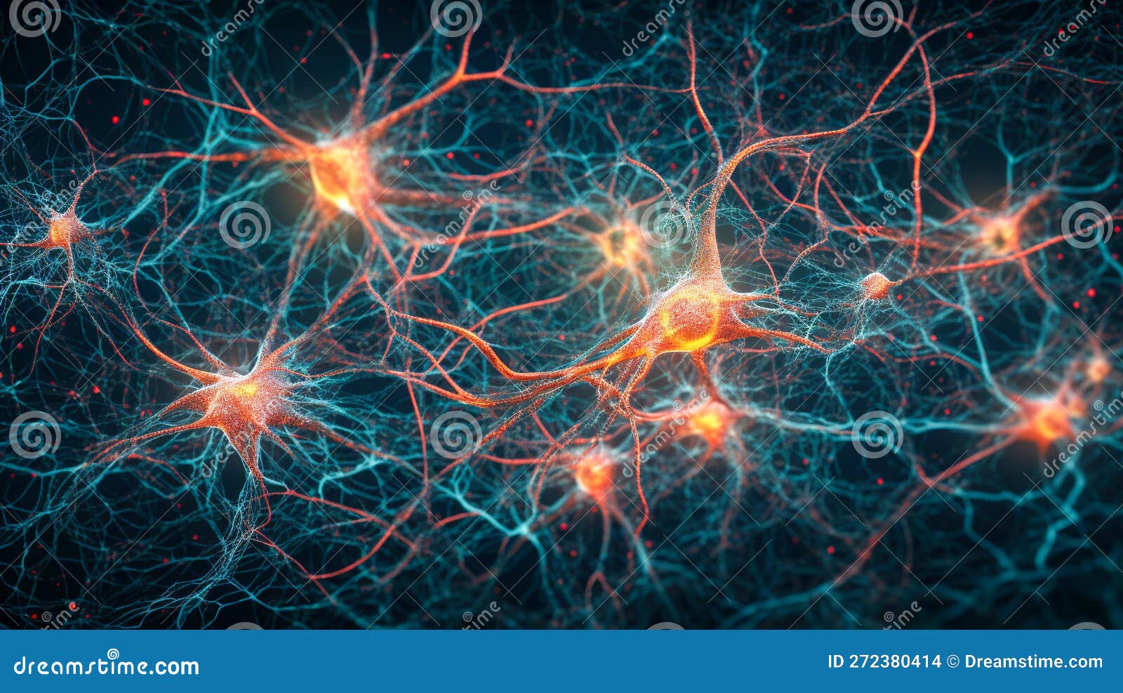 The Science of Synapses, Neuronal Communication, Interconnected Neurons ...