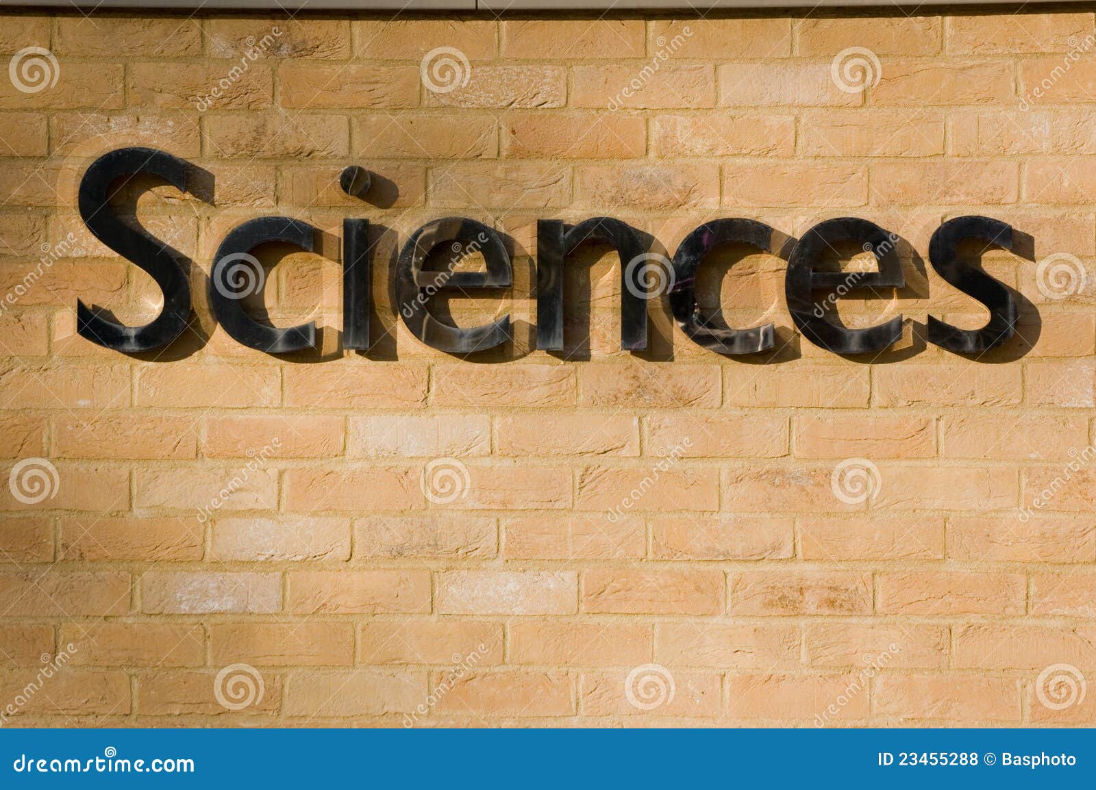 sciences sign on a brick wall