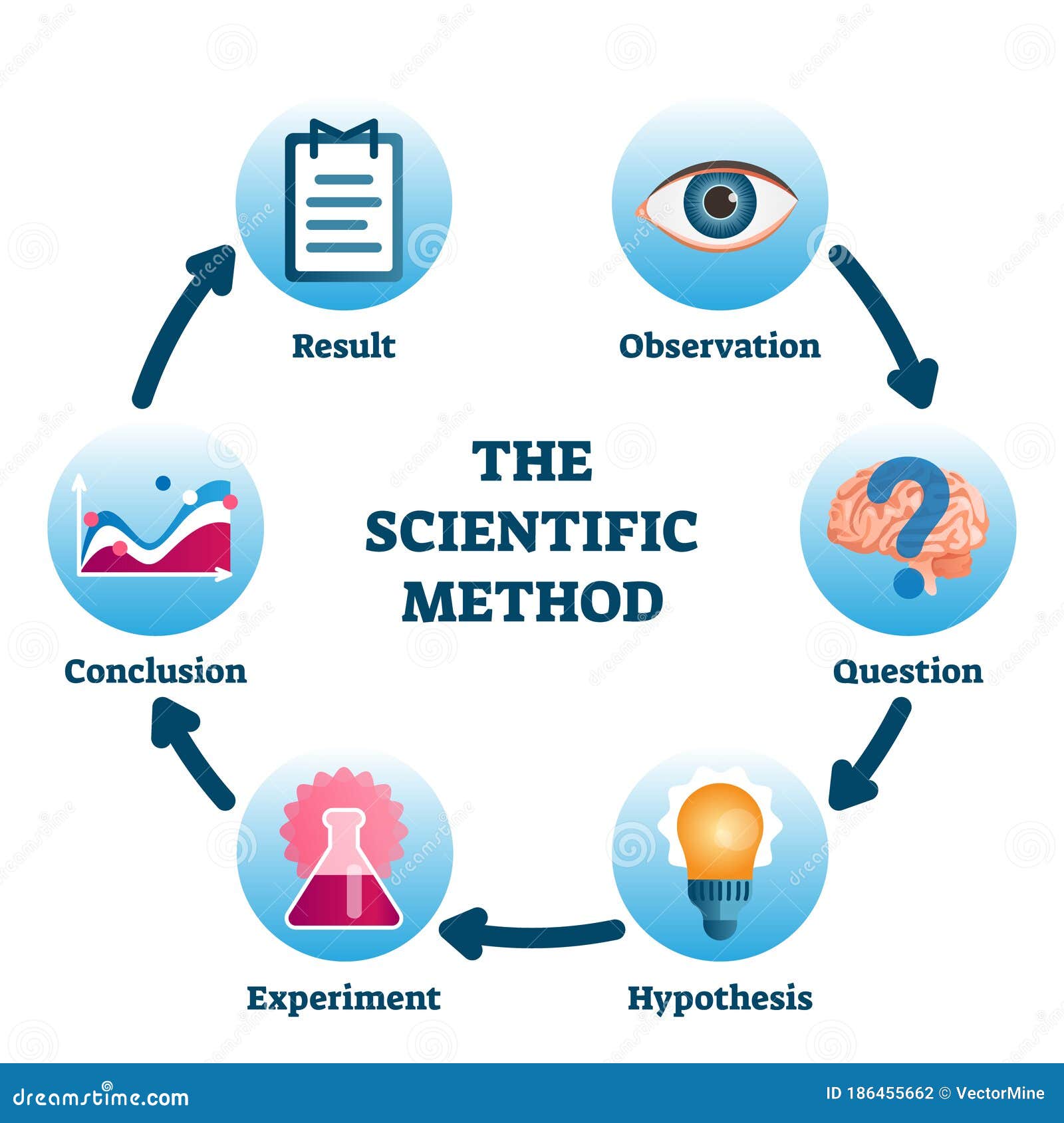 the scientific method  . labeled process methodology scheme