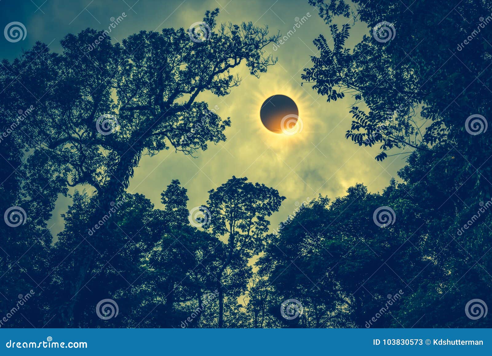 scientific natural phenomenon. total solar eclipse with diamond