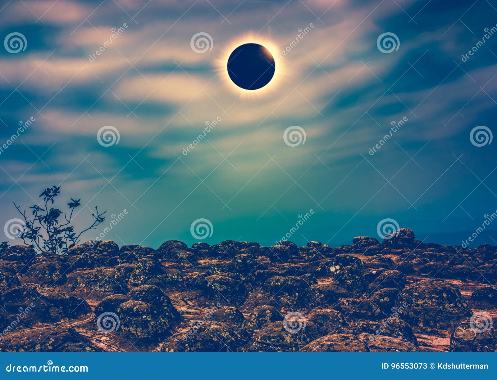 Solar Eclipse Diamond Ring Photograph by Stamp City - Pixels