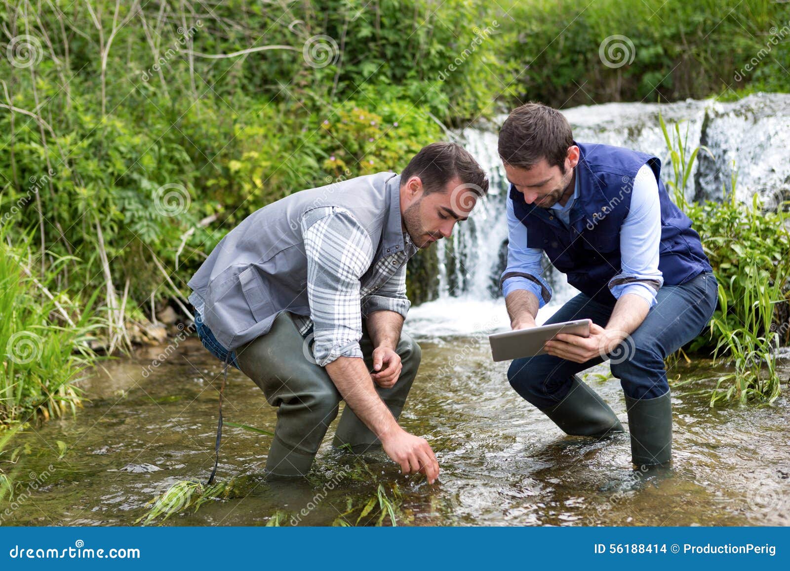 Scientist and Biologist Working Together on Water Analysis Stock Photo