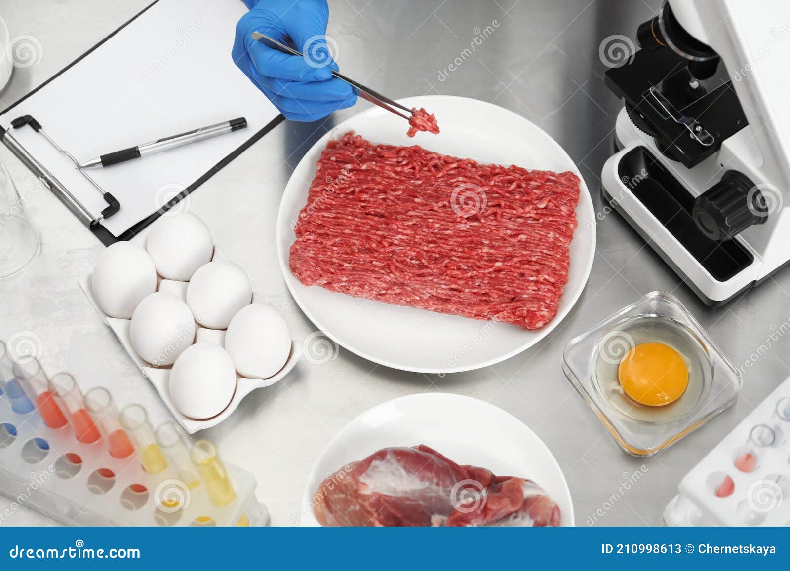 Scientist Checking Meat at Table in Laboratory, Above View. Quality