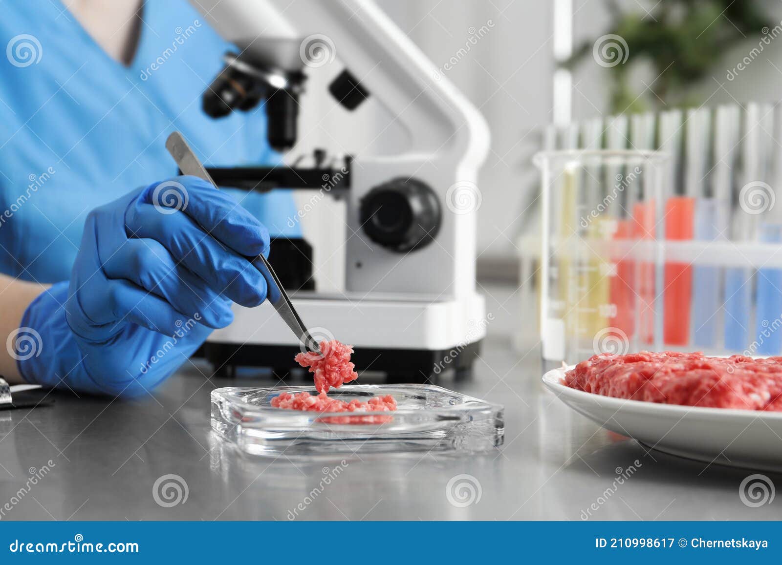 Scientist Checking Meat at Table in Laboratory, Closeup. Quality