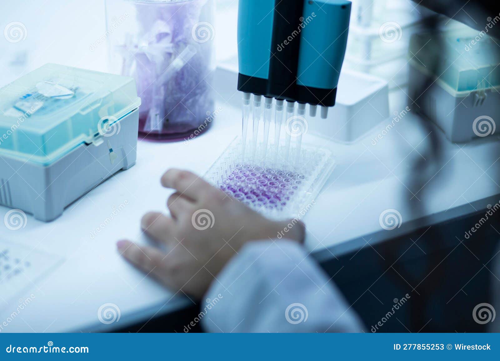 Scientist Conducting Medical Testing in a Laboratory Stock Image