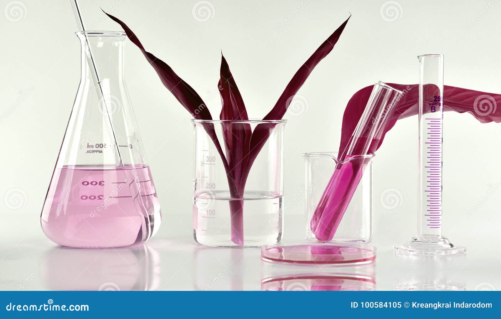 Scientist Doing a Research with Polluted Contaminate Plant, Chemist