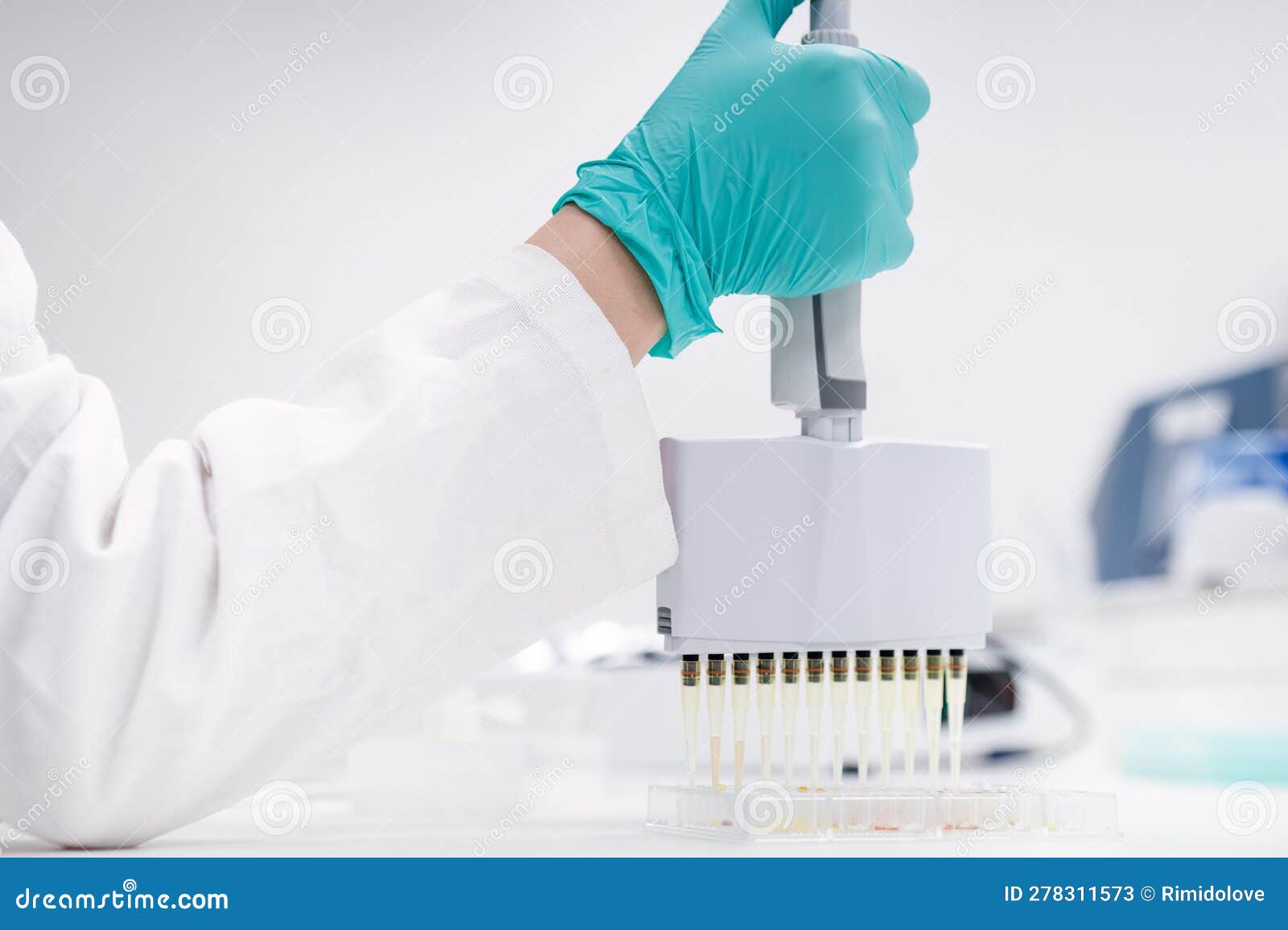 Scientist Employs a Multichannel Pipette Dispenser To Load Microplates