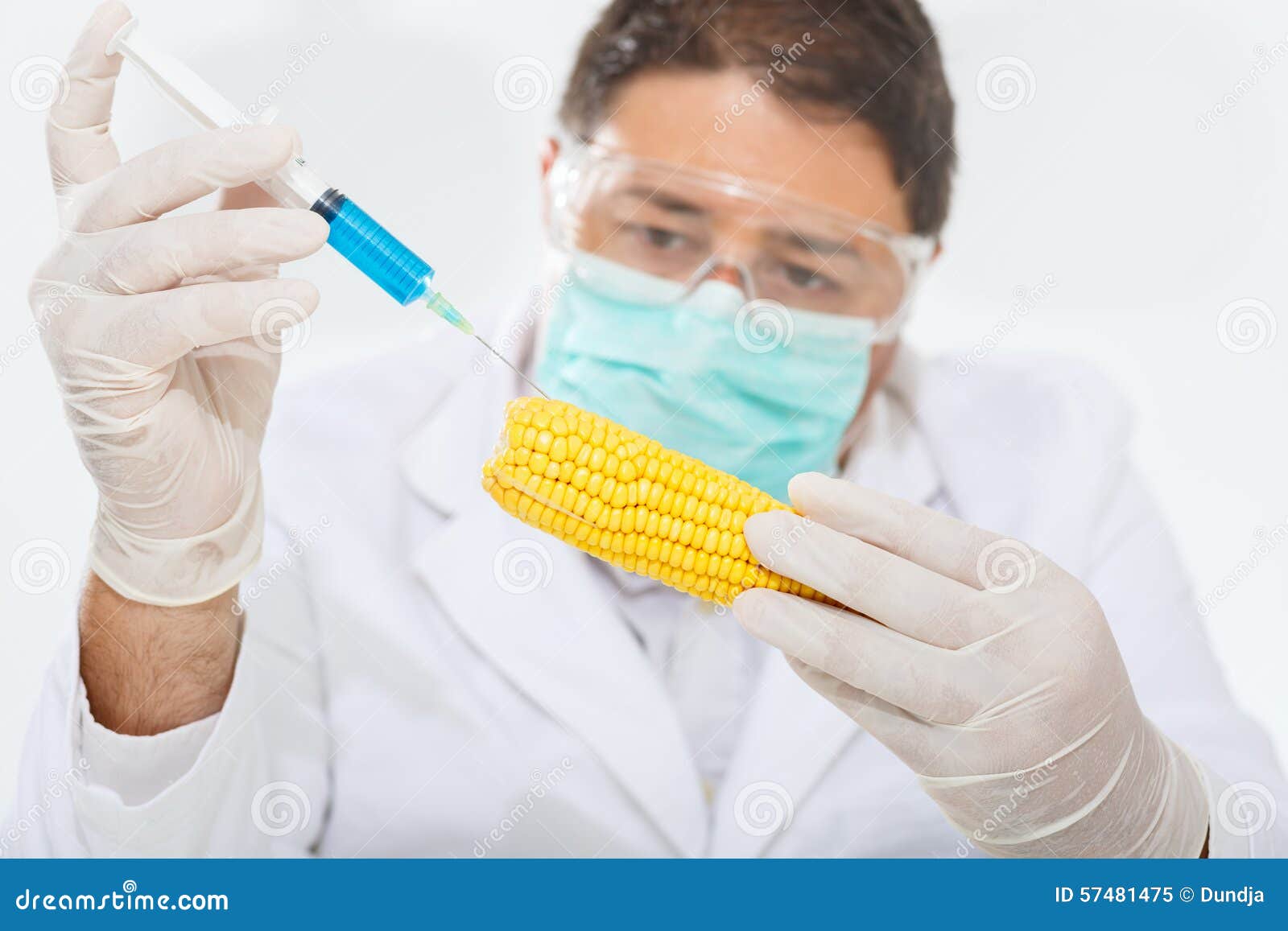 Scientist Modifying Fruits and Vegetables in the Laboratory
