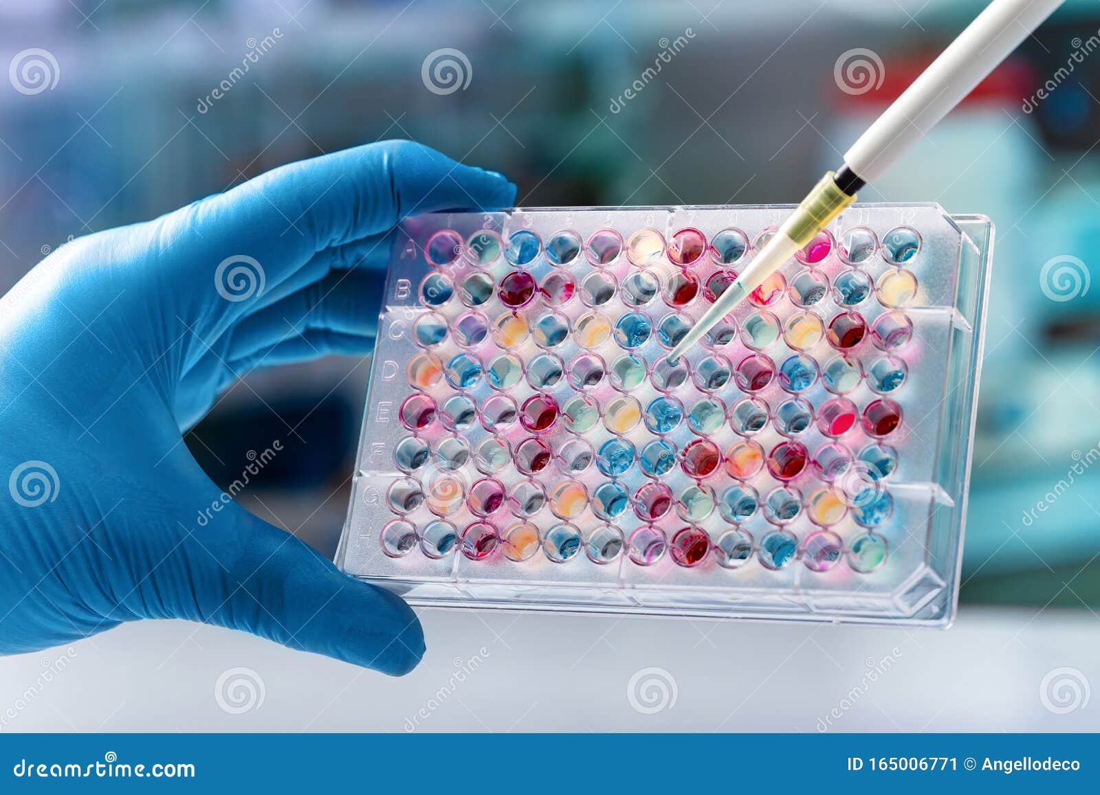 scientist hand holding microplate for biomedical research