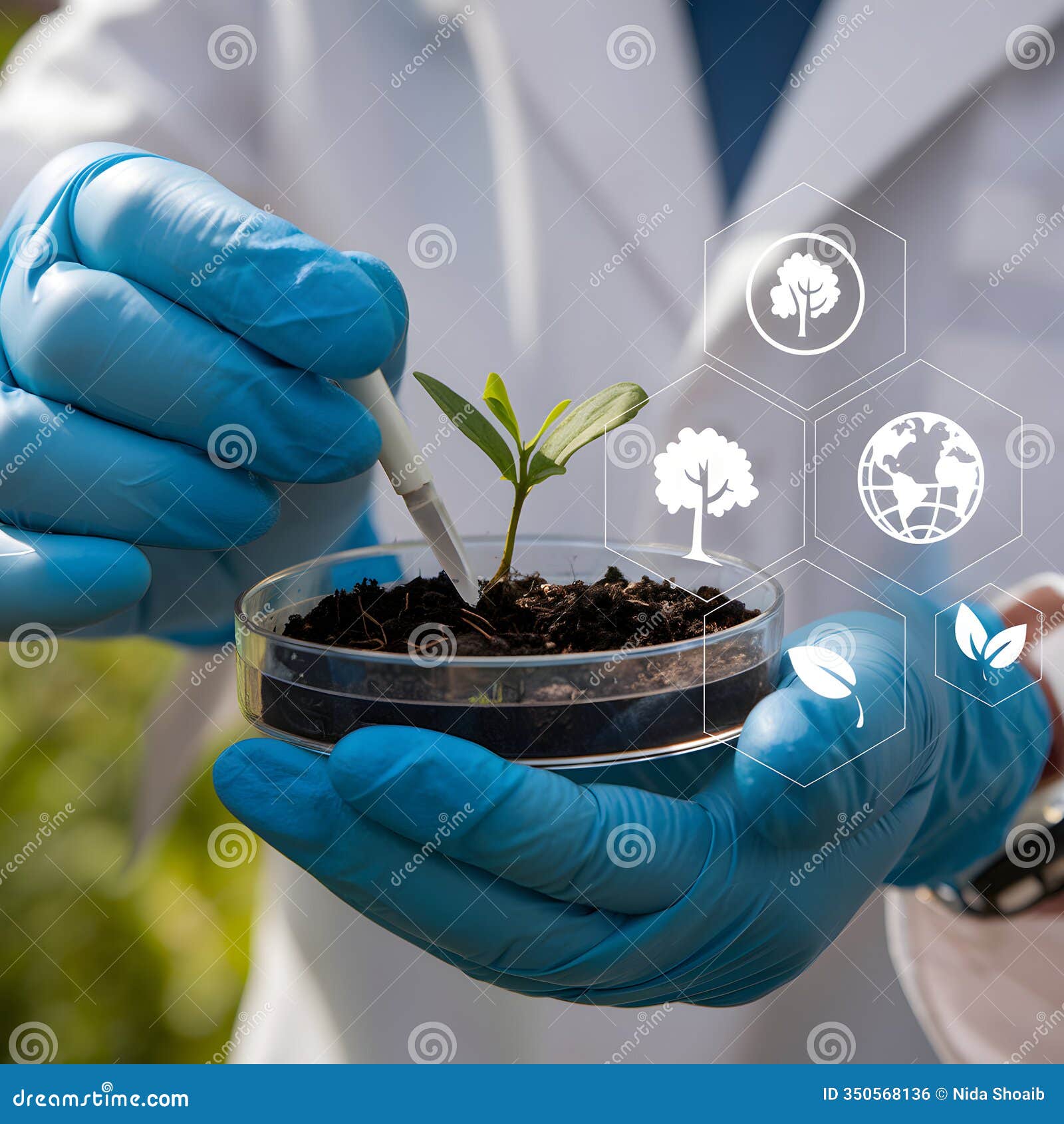 scientist holding petri dish with plant amid digital overlays
