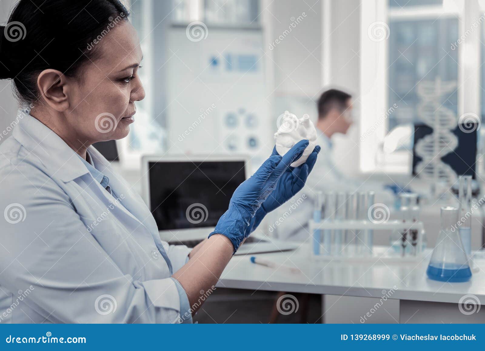 Scientist Holding the Plastic Model of the Human Heart Stock Image