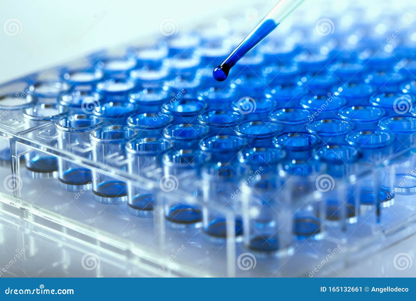 researcher pipetting samples of liquids in microplate for biomedical research