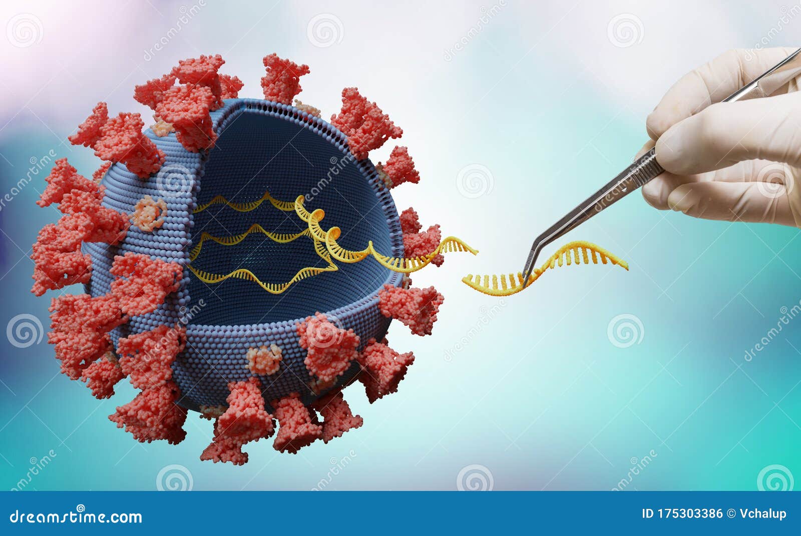 scientist is modifying genes in rna of virus in laboratory. biology and viral genetics concept.