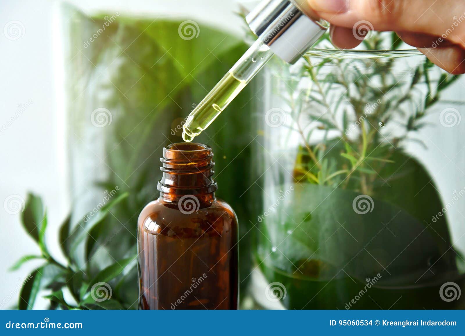 scientist with natural drug research, natural organic botany and scientific glassware, alternative green herb medicine.