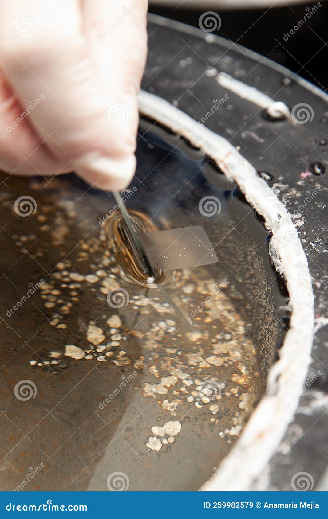 scientist preparing a paraffin embedded tissue for pathology analysis. floating method for paraffin-embedded tissue. scientist
