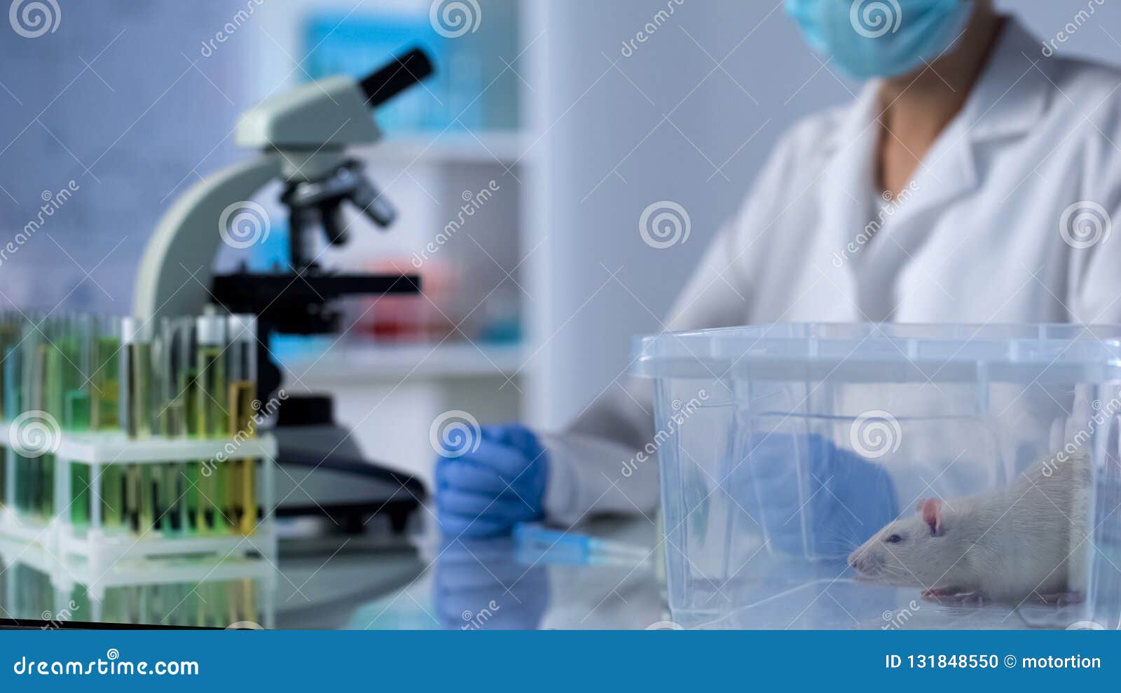 Scientist Sitting at Table, Test Rat in Plastic Box, Medicine Testing
