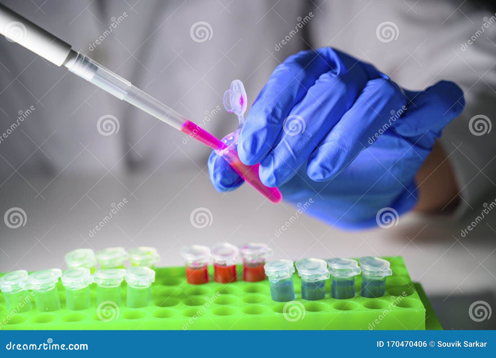 scientist taking out pink chemical solution in eppendorf tube and pipette for biomedical research with tube rack on a white bench