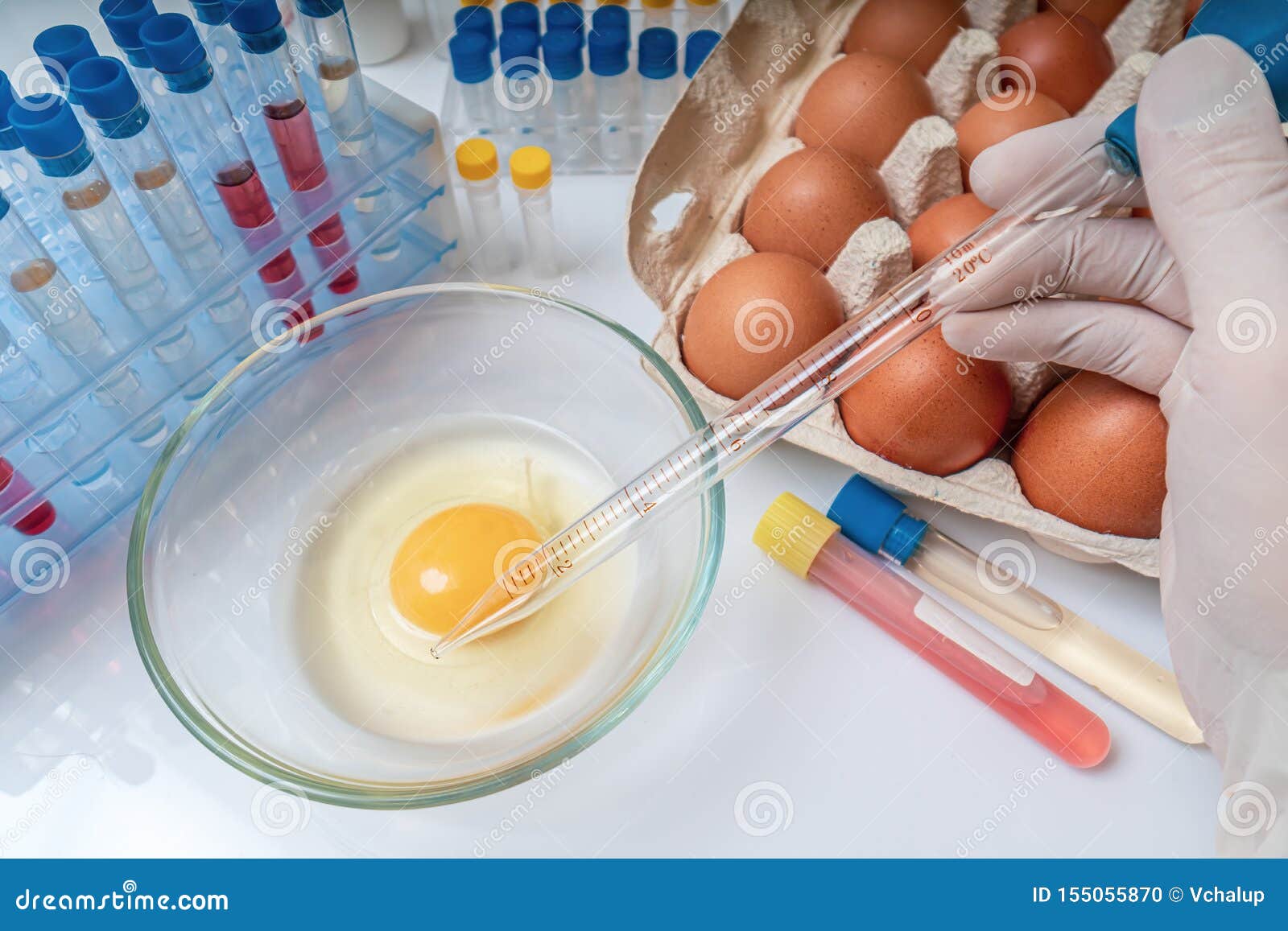 Scientist is Testing Eggs for Germs. Food Quality Control. Stock Photo