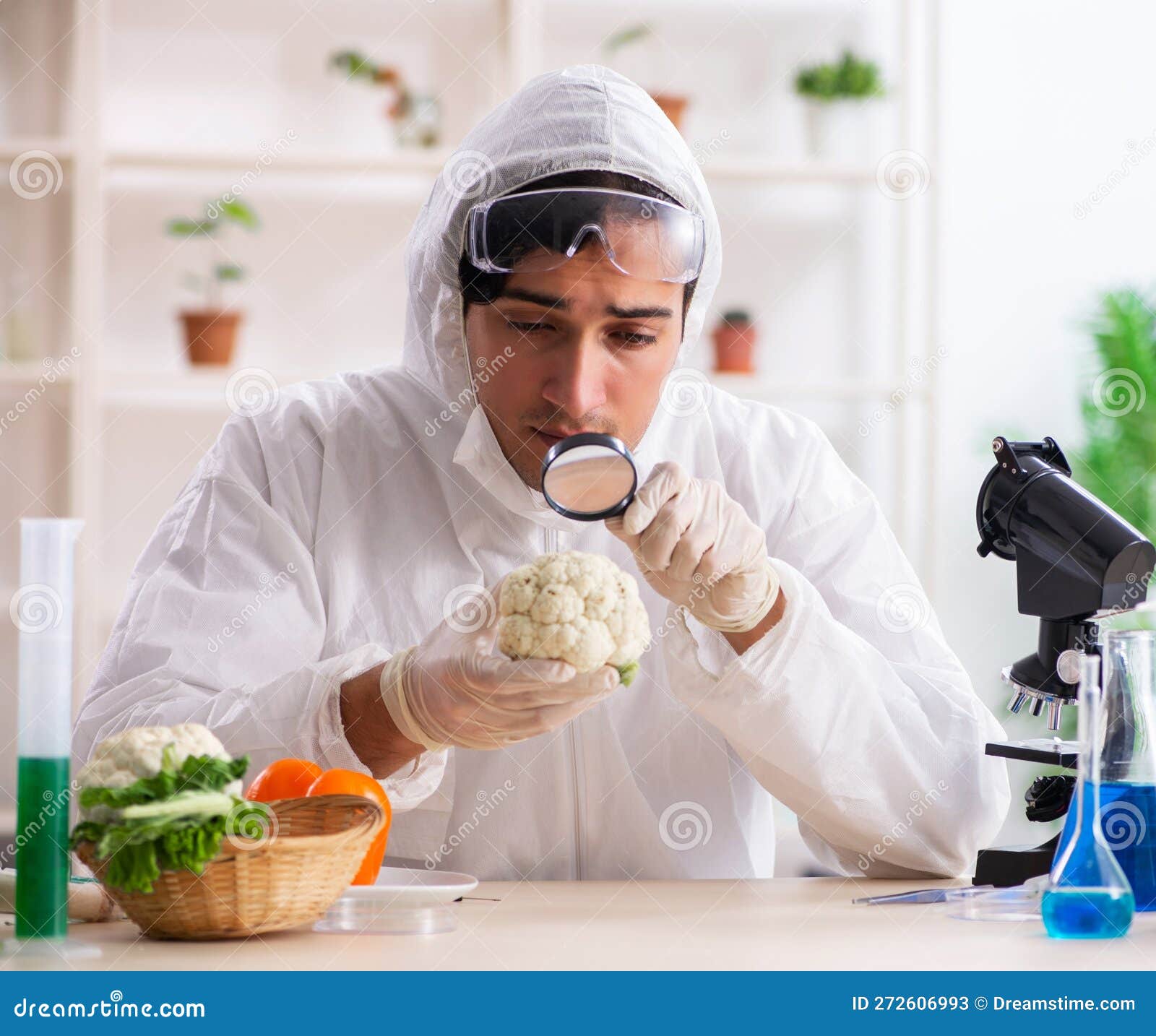 Scientist Working in Lab on GMO Fruits and Vegetables Stock Image