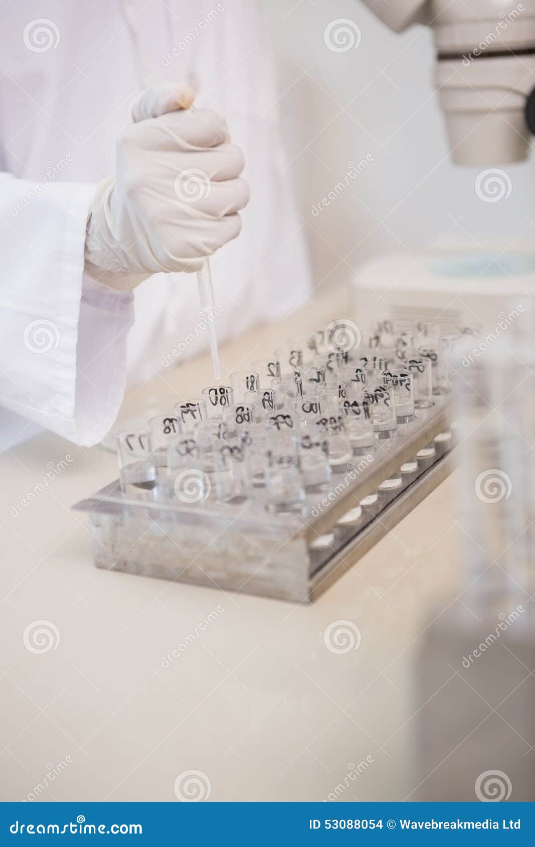 Scientist Working with Many Test Tubes and Pipette Stock Photo Image