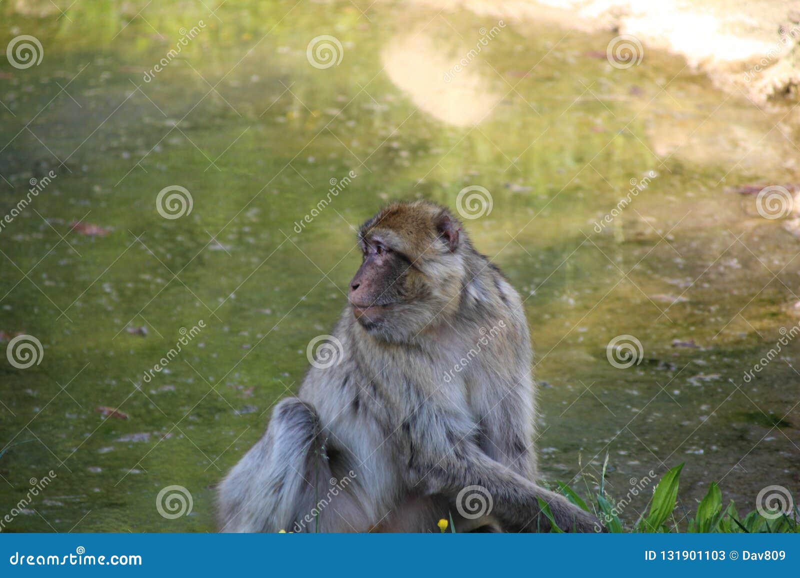 Male sculpture italian hi-res stock photography and images - Page 4 - Alamy, image size:1600x1157