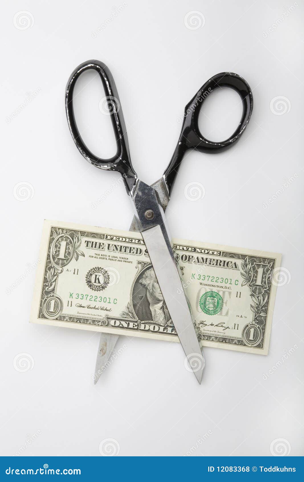 Scissor Cutting Dollar Bill Stock Photo Image of currency, money