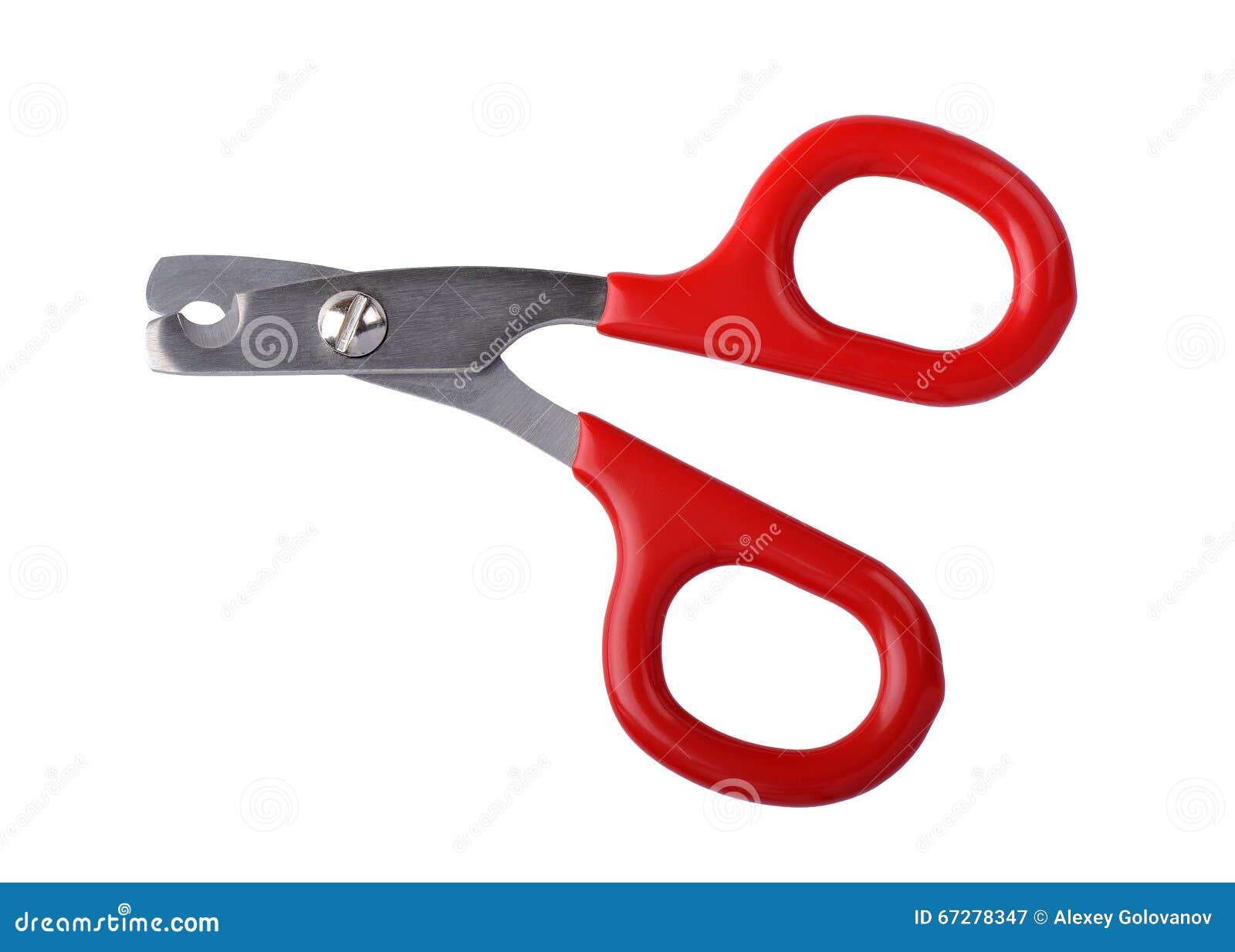 Scissors for Claws for Pets (dogs, Cats) Stock Image Image of pliers