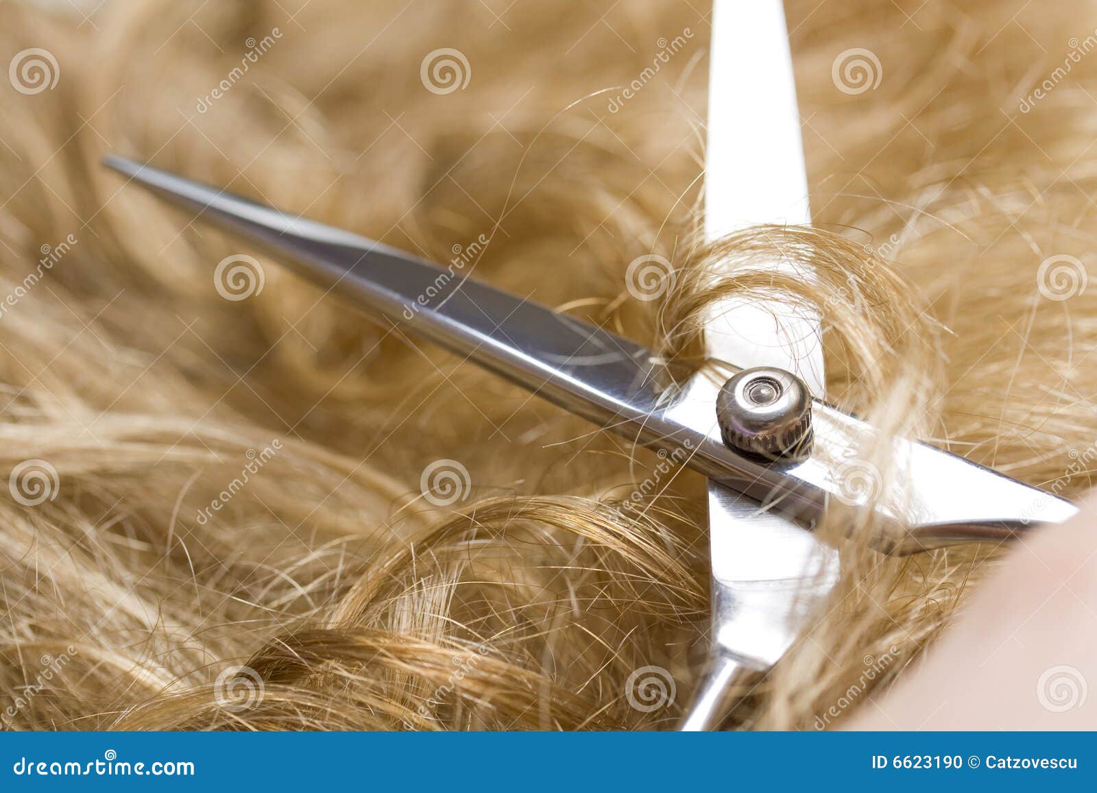 haircut stripes film haircut stripes film