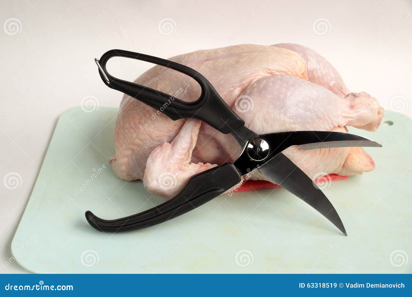 Scissors for Cutting of Chicken Stock Image Image of edge, notch