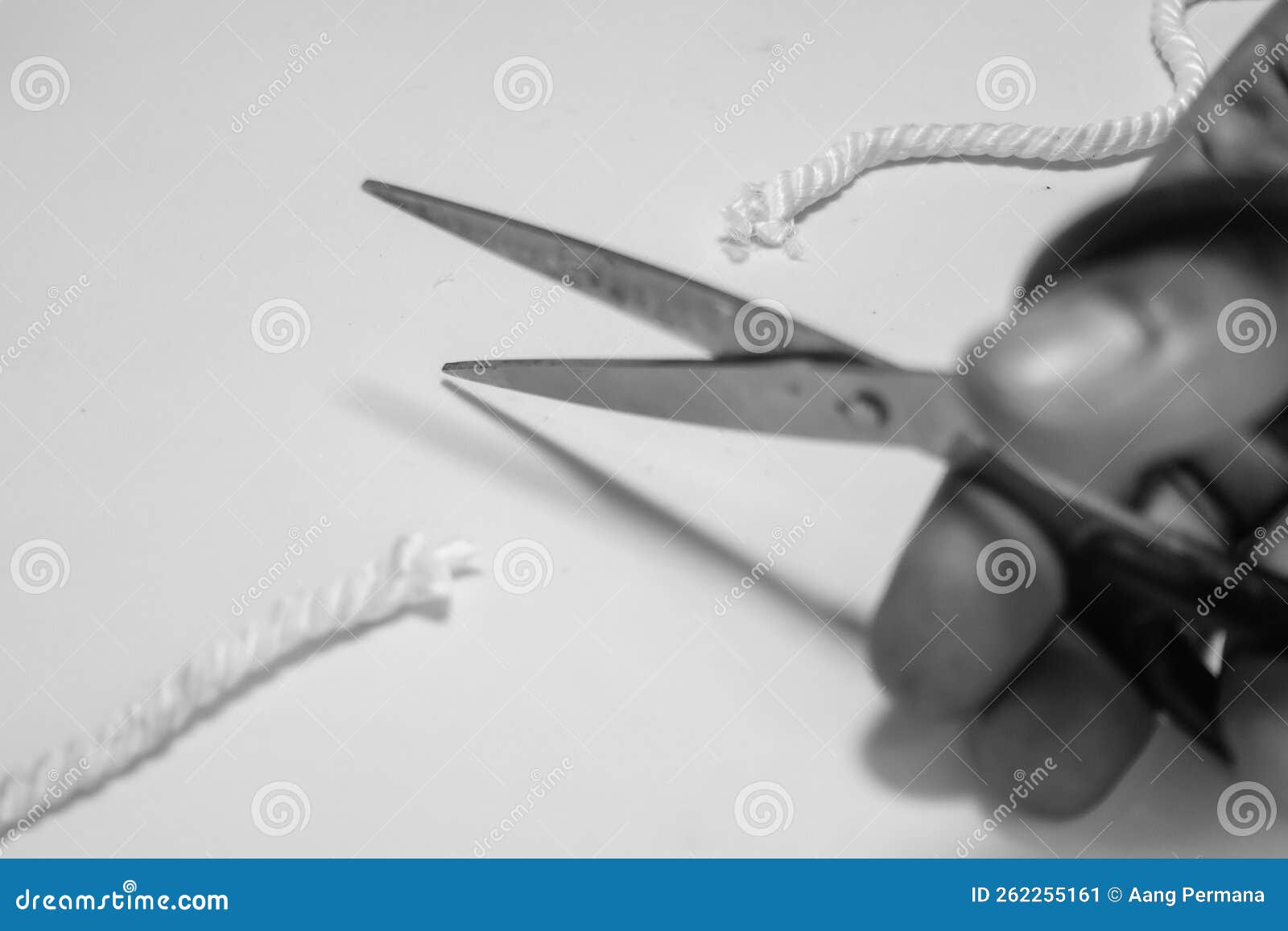 Cutting A Rope With Scissors Against White Background Stock Photo