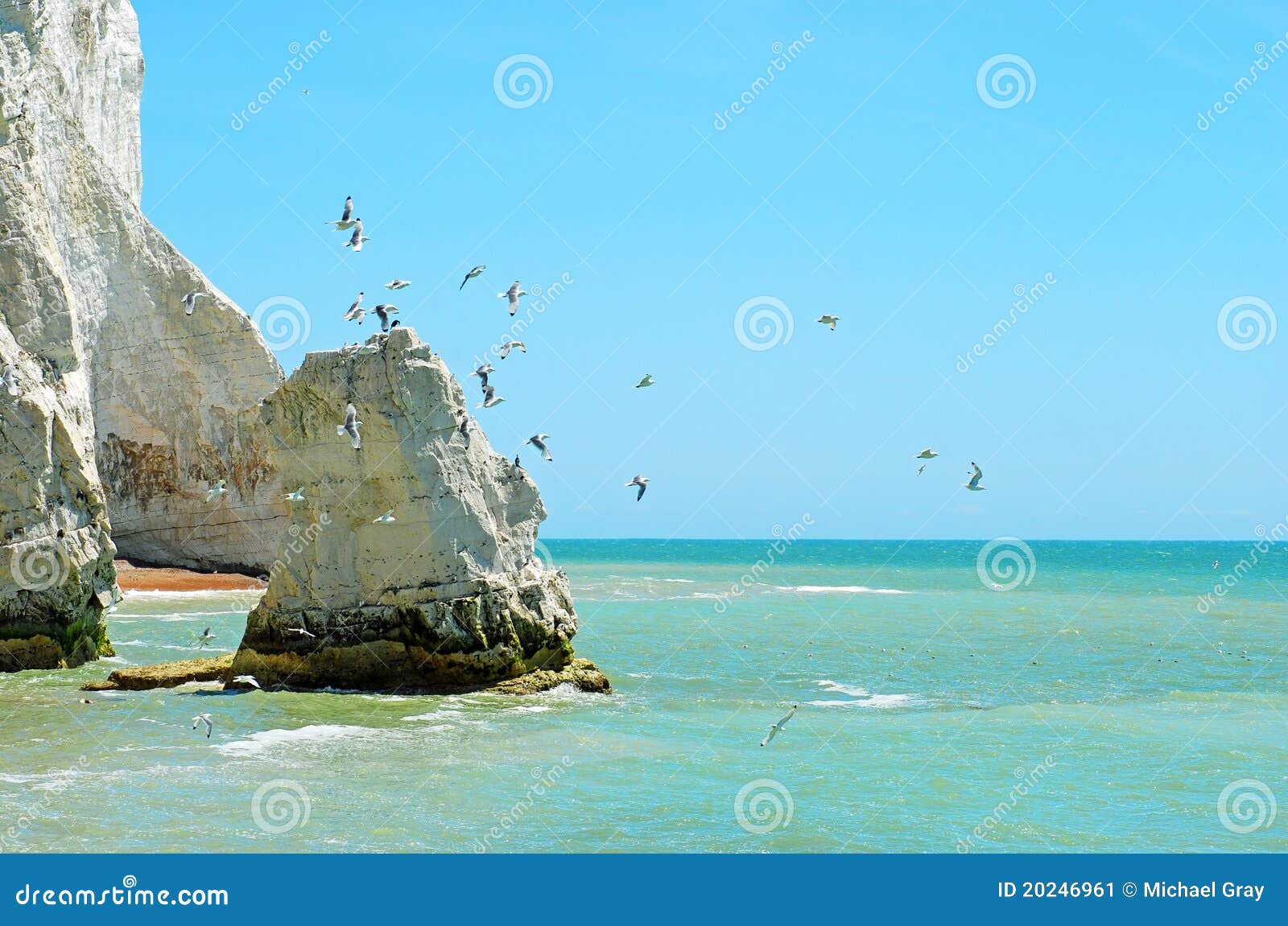 Scogliera di gesso bianca con gli uccelli ed il cielo blu