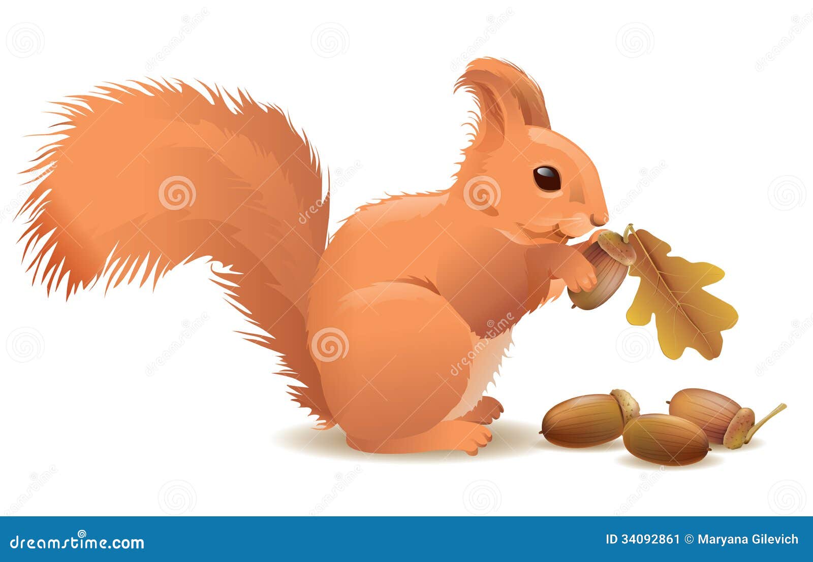 Scoiattolo Con Ghianda Scoiarrel Con Animale Di Peluche Di Ghianda