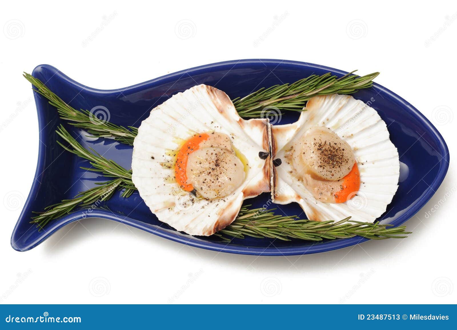 Scollops in a Fish Shaped Bowl Stock Image - Image of scallops, studio ...