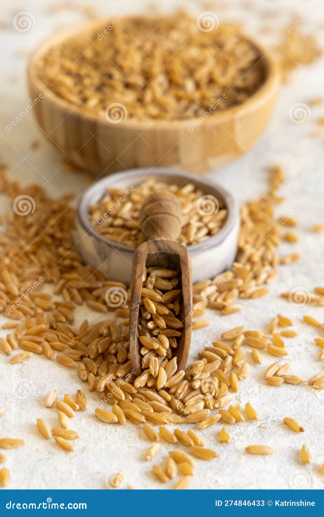 Scoop and Bowls of Raw Dry Rye Grain on White Table Close Up. Healthy