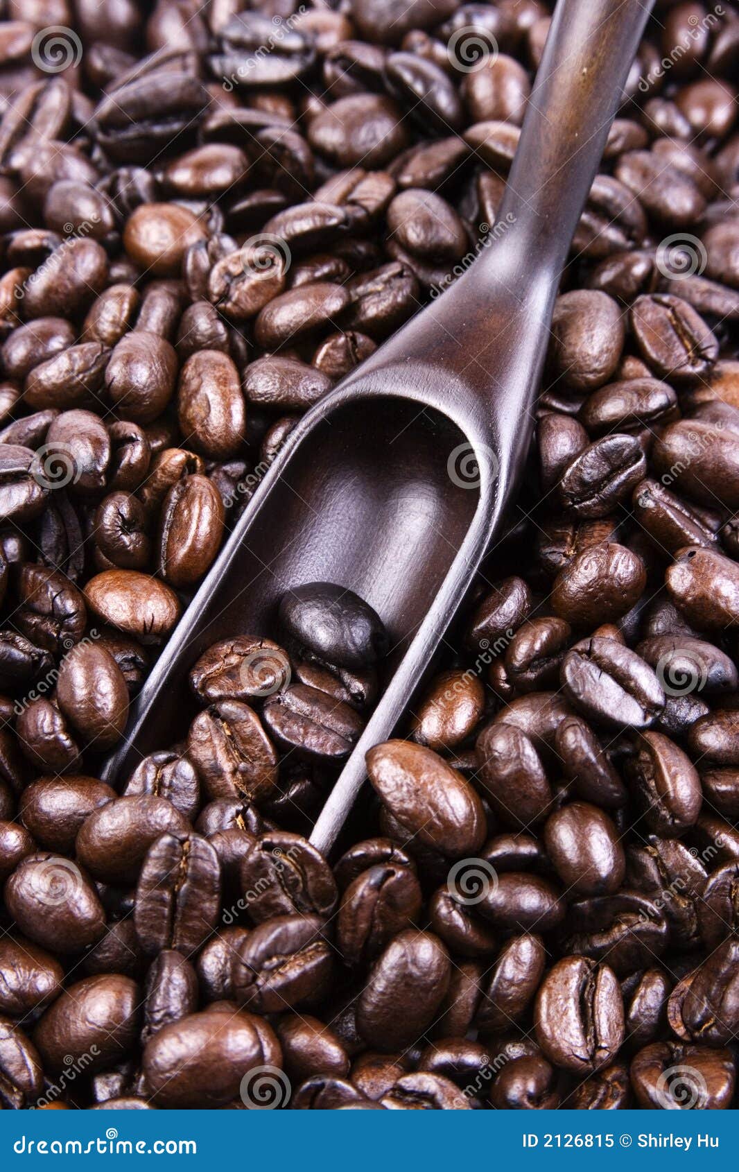Scoop Of Coffee Bean stock image. Image of cappuccino 2126815