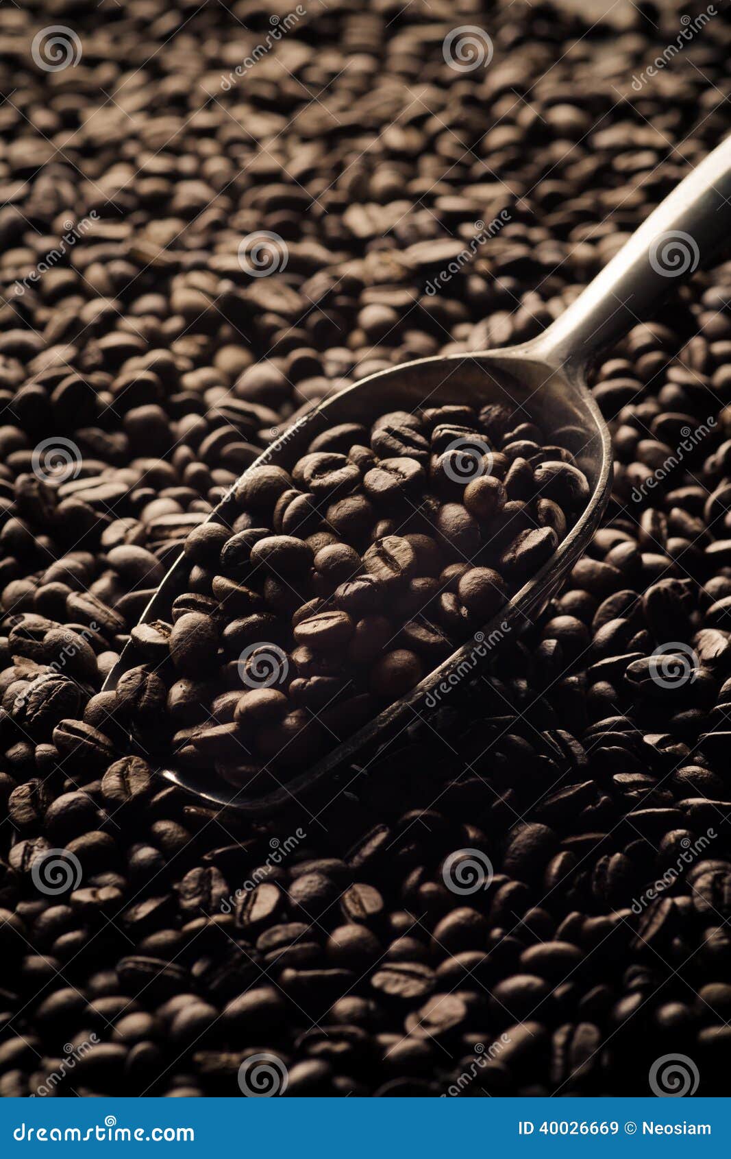 Scoop of coffee beans stock image. Image of large, freshness 40026669