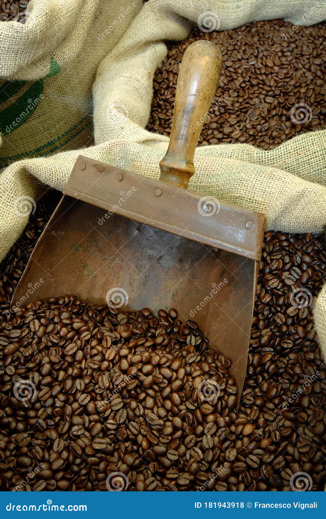 coffee beans. scoop with coffee beans from the top